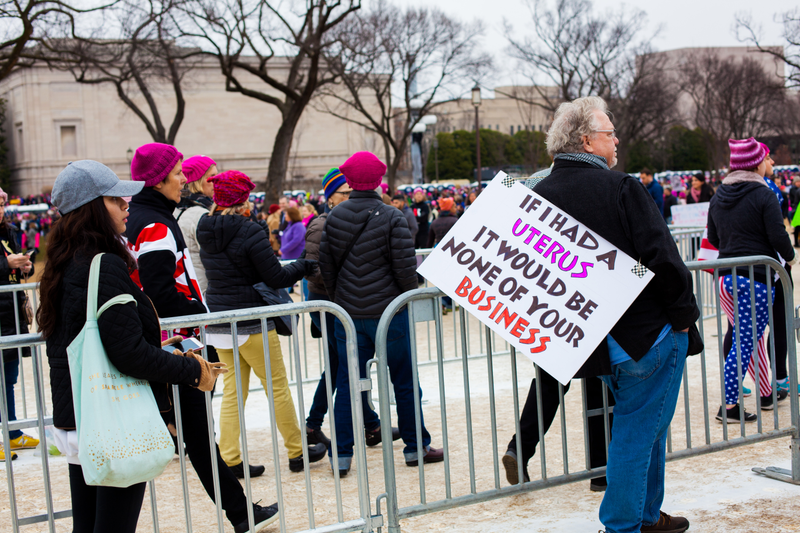 Illustration for article titled WOMEN'S MARCH ON WASHINGTON : THE SIGNS